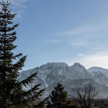 Szymony With & Parking By Renters Appart hôtel Zakopane