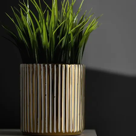 Szymony With & Parking By Renters 4* Zakopane