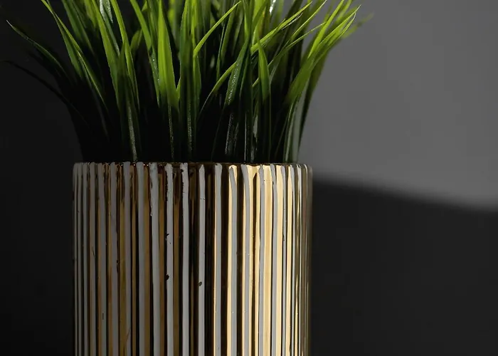 Szymony With & Parking By Renters 4* 扎科帕内